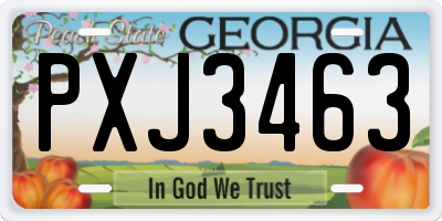 GA license plate PXJ3463