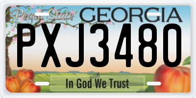 GA license plate PXJ3480