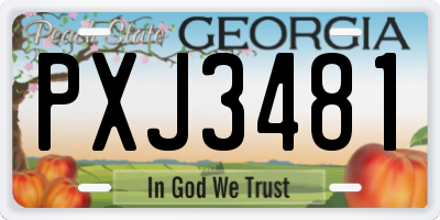 GA license plate PXJ3481