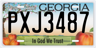 GA license plate PXJ3487