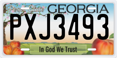 GA license plate PXJ3493
