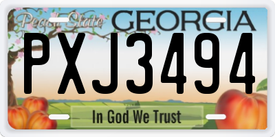 GA license plate PXJ3494