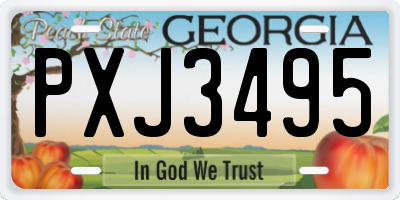GA license plate PXJ3495