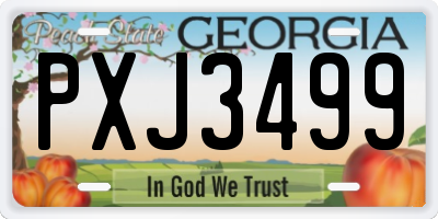 GA license plate PXJ3499