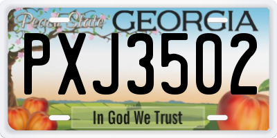 GA license plate PXJ3502