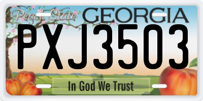 GA license plate PXJ3503