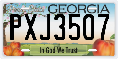 GA license plate PXJ3507