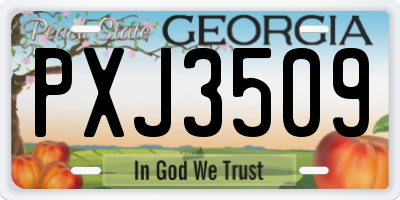 GA license plate PXJ3509