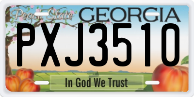 GA license plate PXJ3510