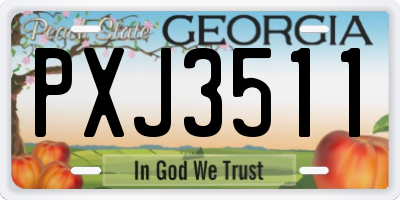 GA license plate PXJ3511