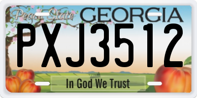 GA license plate PXJ3512