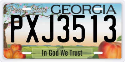 GA license plate PXJ3513