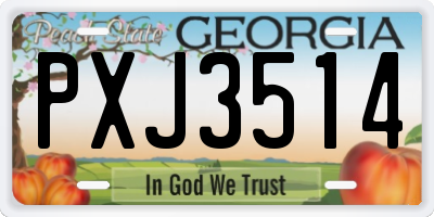 GA license plate PXJ3514