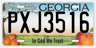 GA license plate PXJ3516