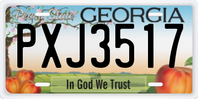 GA license plate PXJ3517