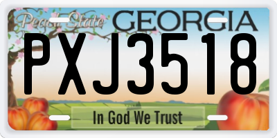 GA license plate PXJ3518