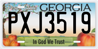 GA license plate PXJ3519