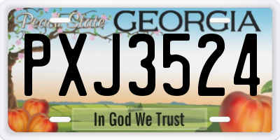 GA license plate PXJ3524