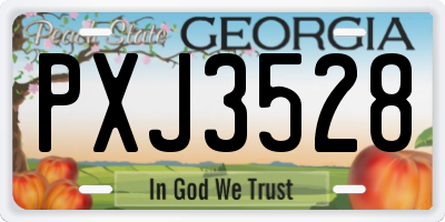 GA license plate PXJ3528