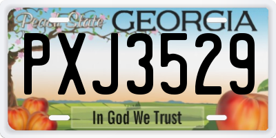 GA license plate PXJ3529