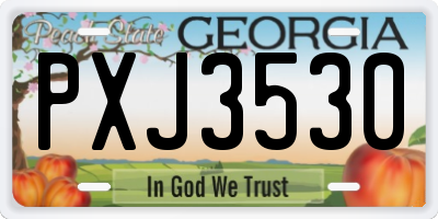 GA license plate PXJ3530