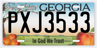GA license plate PXJ3533