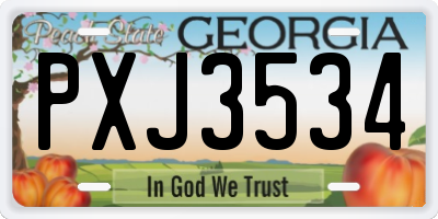 GA license plate PXJ3534