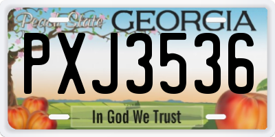 GA license plate PXJ3536