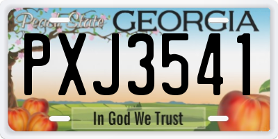 GA license plate PXJ3541