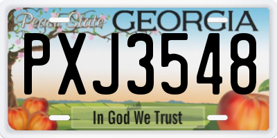 GA license plate PXJ3548