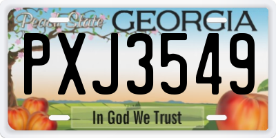 GA license plate PXJ3549