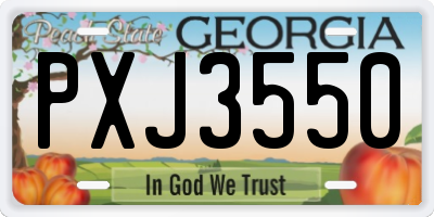 GA license plate PXJ3550