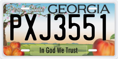 GA license plate PXJ3551