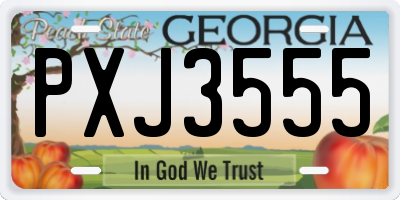 GA license plate PXJ3555