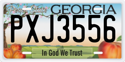 GA license plate PXJ3556
