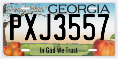 GA license plate PXJ3557