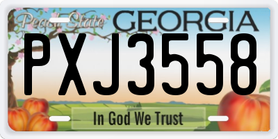 GA license plate PXJ3558
