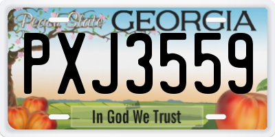 GA license plate PXJ3559