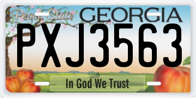 GA license plate PXJ3563