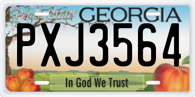 GA license plate PXJ3564