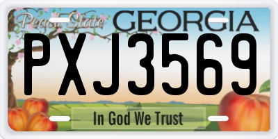 GA license plate PXJ3569