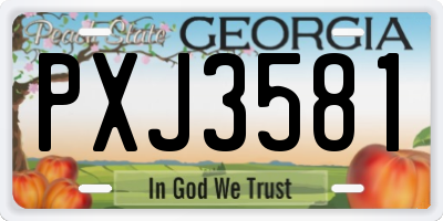 GA license plate PXJ3581
