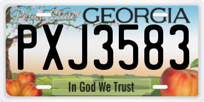 GA license plate PXJ3583