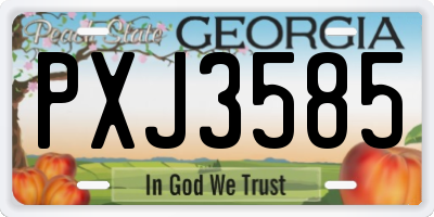 GA license plate PXJ3585