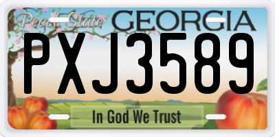 GA license plate PXJ3589
