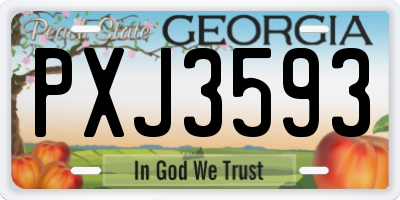 GA license plate PXJ3593