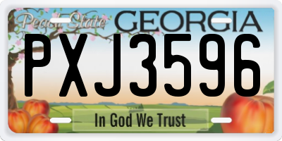 GA license plate PXJ3596