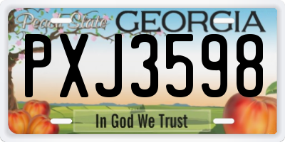 GA license plate PXJ3598