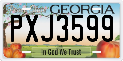 GA license plate PXJ3599