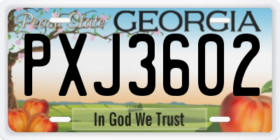 GA license plate PXJ3602